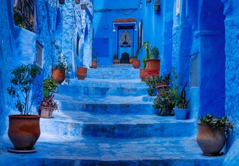 Wall Mural - stairs with potted plants lead up to a house door in the blue city of Chefchaouen