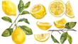 Bush of lemons