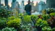 Man in hat tending to rooftop garden in urban setting during sunrise

