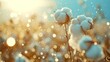 Glistening cotton bolls in sunlit rain against a bright, bokeh-filled background
