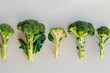 individual broccoli plants at various growth stages in a row