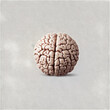 brain on a transparent background image 
