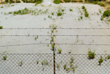 Fototapeta Na ścianę - barbed wire fence close up
