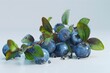 Fresh blueberries with leaves on a light background.
