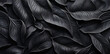 a close up of black leaves