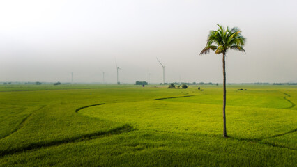 view of turbine green energy electricity, windmill for electric power production, Wind turbines generating electricity on rice field at Phan Rang, Ninh Thuan province, Vietnam