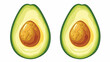 Halved avocado fruit  flat design vector  Flat vector