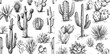 © Mark - Sketch cartoon succulent agave, saguaro and prickly leaved pear with