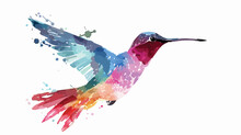 Hummingbird Watercolor Silhouette Isolated On White