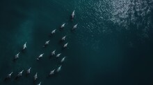 A Drone Shot Scene Capturing Vast Numbers Of Narwhal Swimming In The Ocean, Seen From Above, Birds Eye View