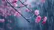 Cherry blossoms. Forest, branches, root, bush, nature, greens, berry, seed, garden, path, journey, grass, leaves. Generated by AI