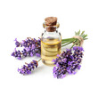 Aroma oil of lavender flower in bottle