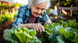 Joyful senior woman cultivating lettuce with love in her verdant home garden.