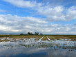 Wetlands at Delta de l'Ebre Nature Reserve