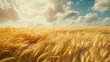 Wheat field. Nature, oil, clover, cereals, farm, thickets, plants, life, greens, beauty, oxygen, relaxation, country villa, meadow, grass, flowers, wind, sun. Generated by AI