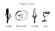 Tarot cards suits, pentacles, wands, swords, cups, hand drawn quirky doodle vector icons, line art