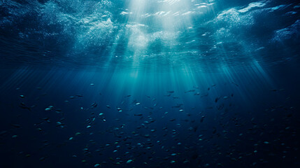 Group of fish swimming in blue ocean close-up