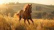 A majestic horse, with rolling hills behind, during a morning gallop