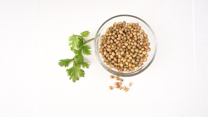 Dry coriander seeds with small bamboo spoon and green fresh bunch coriander leaves,famous spices ingredients in asia's kitchen.