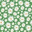 Decorative abstract seamless pattern with white daisy on green background, decorative modern wallpaper