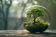 An eco-sphere, a sustainable ecosystem in a glass ball, promoting sustainability and self-sustaining environments.
