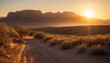 A tranquil desert scene at sunset, featuring a winding dirt road, perfect for serene stock photography.