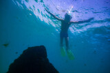 Fototapeta  - Diver kid exploring in clear blue water view from down below
