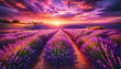 vibrant summer landscape of a sprawling lavender field under a sunset sky, with shades of pink, purple, and orange illuminating the scene.