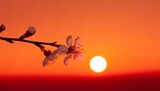 Fototapeta  - tree in the sunset wallpaper national landscape sky vector art background blood, Cherry Blossom, minimalism, Photoshop, red, sun, sunset, HD wallpaper