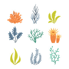 Wall Mural - Collection of seaweeds, underwater sea plants, shells. Vector illustration of seaweeds, planting, marine algae and ocean corals silhouettes. Collection of cartoon algae