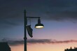 shoe hanging on a street lamp, dusk setting