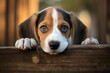 A curious beagle pup with soulful eyes peering through a wooden fence, nose pressed against the gaps, capturing a moment of innocent exploration and yearning.