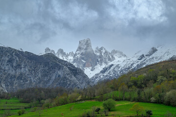 Wall Mural - Naranjo de Bulnes