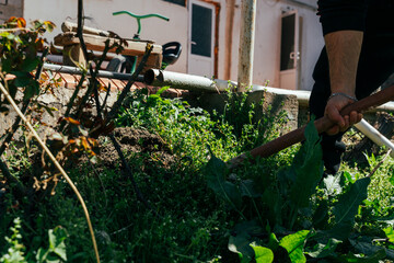 A man is digging in a garden with a shovel