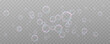 © blagorodez - Realistic soap bubbles.Flying bubbles on a transparent background.