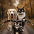 Cat and Dog Motorcycle Adventure created with Generative AI technology