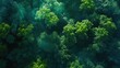 Earth Day - Aerial Top View of RainForest. Enviroment Day Concept with Forest Jungle Tree. Drone View Green Background for Carbon Neutrality and Zero Emission
