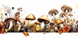 A row of mushrooms are shown in a field of grass.