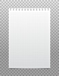 © Aroma_Art - Realistic vertical white checkered sheet torn from a notepad on a transparent background