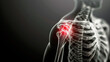Radiographic Shoulder Pain Highlight in Skeletal X-ray Image