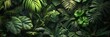 A luxuriant scene of tropical flora, with green ferns basking in the sunlight, their leaves creating a dynamic spectrum of light and dark hues amidst the undergrowth.