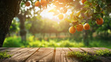 Fototapeta  - Garden with old wooden table and orange trees with fruits 