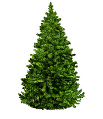 Undecorated Christmas tree isolated on white