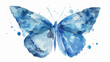 Isolated blue watercolor butterfly flat vector isolated