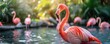 flamingo in natural habitat. Big pink popular bird is relaxing near water pond