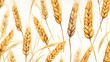 Seamless Wheat Spikelet Pattern: Watercolor Herbage Background