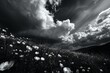 Elegant clouds drifting gracefully above a field of delicate flowers in black and white.