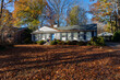 House and yard completely covered in fall leaves, leaf litter clean up, yard maintenance copy space, horizontal aspect