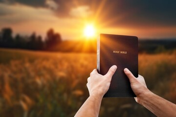 Wall Mural - Open bible book in hands at wheat field