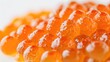 Salmon Red caviar white background. Luxury delicacy food. Raw seafood. Macro fish caviar